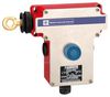 TELEMECANIQUE SENSORS XY2CE2A250EX