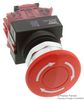 IDEC AVW402-R..